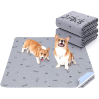Puppy Mat